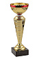 Кубок Марс 093-280-100, высота 28см. в Иркутске - купить в интернет магазине Икс Мастер