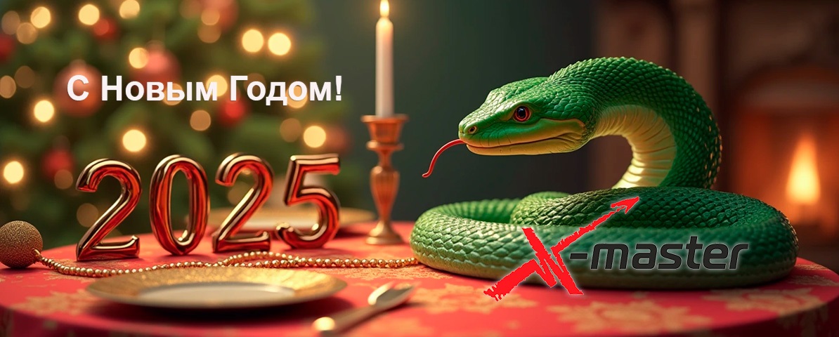 С НОВЫМ ГОДОМ! Интернет магазин Икс Мастер