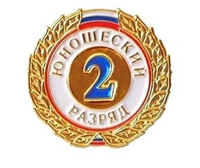 Знак 2-й юношеский разряд в Иркутске - купить в интернет магазине Икс Мастер