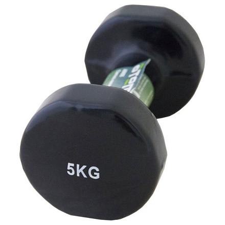 Гантель виниловая Atemi AD055 5кг в Иркутске - купить в интернет магазине Икс Мастер