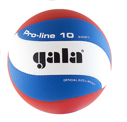 Мяч волейбольный GALA Pro-Line 10 BV5581S - купить в интернет магазине Икс Мастер 