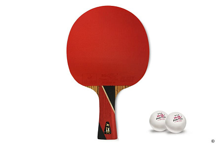 Ракетка для н/т Double Fish 8A+C, чехол - купить в интернет магазине Икс Мастер 