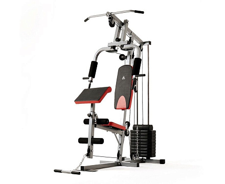 Силовой комплекс DFC HomeGym D7001 в Иркутске - купить в интернет магазине Икс Мастер