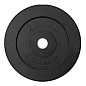 Диск обрезиненный АНТАТ (черный) d26 мм 20 кг в Иркутске - купить в интернет магазине Икс Мастер