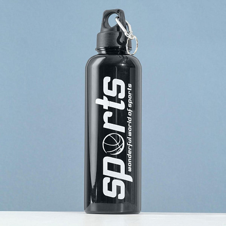 Бутылка для воды с карабином Мастер К Sports 700 мл, чёрная в Иркутске - купить в интернет магазине Икс Мастер