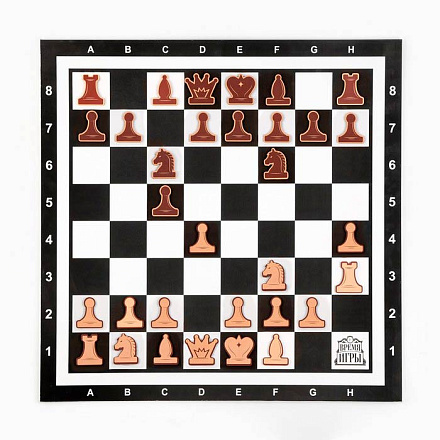 Шахматы демонстрационные 60×60 см, магнитная доска