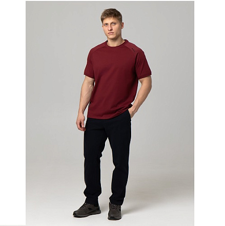 Футболка STROBBS E2576-10 Men, VINOUS в Иркутске - купить в интернет магазине Икс Мастер
