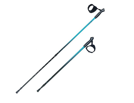 Палки д/скандинавской ходьбы Альфа Каприз NWS-101 в Иркутске - купить в интернет магазине Икс Мастер