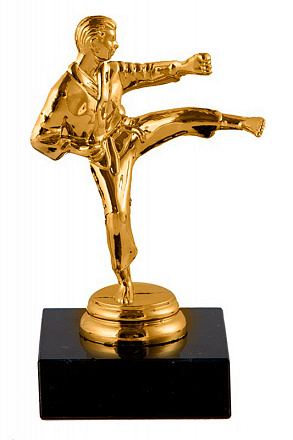 Фигура Каратэ 814 14см c пост. в Иркутске - купить в интернет магазине Икс Мастер