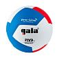 Мяч волейбольный GALA Pro-Line 12 FIVB BV5595S - купить в интернет магазине Икс Мастер 