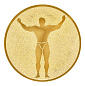 Эмблема Культурист 25мм металл (золото) в Иркутске - купить в интернет магазине Икс Мастер