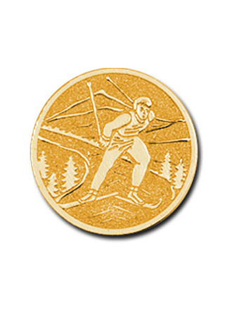 Эмблема Беговые лыжи 25 мм металл (золото) в Иркутске - купить в интернет магазине Икс Мастер