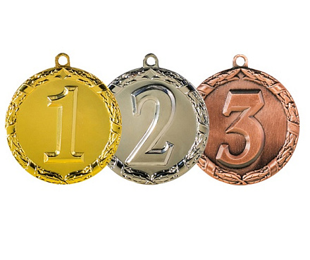 Медаль Чемпион 005 45 mm в Иркутске - купить в интернет магазине Икс Мастер