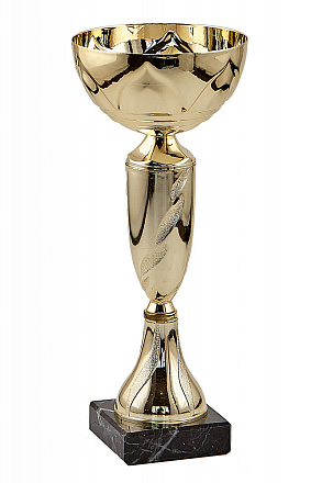 Кубок 113-260-100 в Иркутске - купить в интернет магазине Икс Мастер