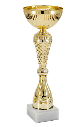 Кубок Скорость 303-280-100, высота 28см. в Иркутске - купить в интернет магазине Икс Мастер