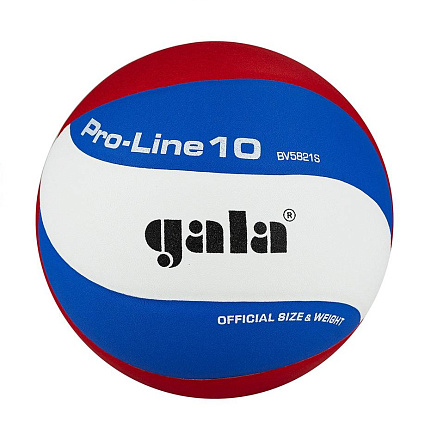 Мяч волейбольный GALA Pro-Line 10 BV5821SA - купить в интернет магазине Икс Мастер 