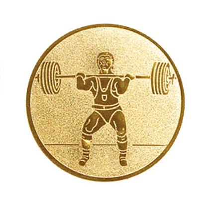 Эмблема Штанга 25мм металл (золото) в Иркутске - купить в интернет магазине Икс Мастер
