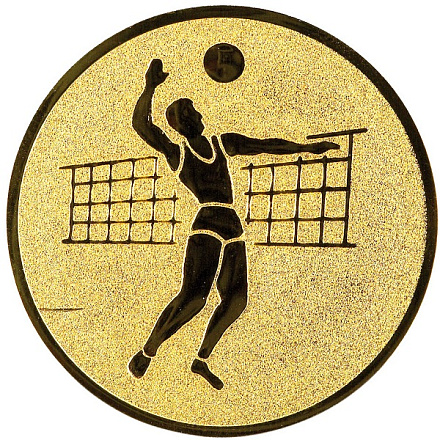 Эмблема Волейбол 25 мм металлопластик (золото ) в Иркутске - купить в интернет магазине Икс Мастер
