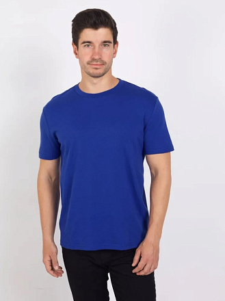 Футболка TEXTILLER класс. крой, круг. ворот, 100% хлопок, василёк в Иркутске - купить в интернет магазине Икс Мастер
