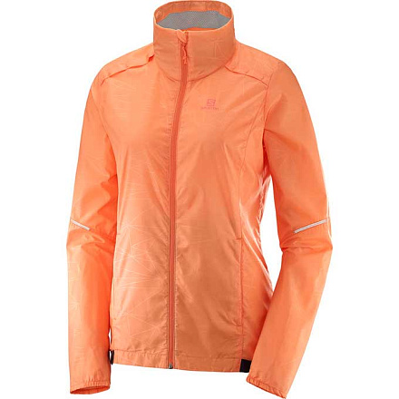 Куртка SALOMON AGILE WIND JKT W Pardaise в Иркутске - купить в интернет магазине Икс Мастер