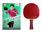 Ракетка для н/т Double Fish 2A+C в компл. 2 мяча 1* - купить в интернет магазине Икс Мастер 