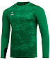 Футболка вратаря длин. рукав Jogel DIVISION PerFormDRY GK Splash, зеленый - купить в интернет магазине Икс Мастер 
