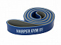 Эспандер латексный Harper Gym 208x3,2x0,45 см 15-35кг в Иркутске - купить с доставкой в магазине Икс-Мастер