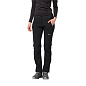 Брюки JACK WOLFSKIN ZENON SOFTSHELL PANTS WOMEN Black в Иркутске - купить в интернет магазине Икс Мастер
