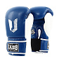 Перчатки боксерские Jabb JE-4056/Eu 56, синий/белый в Иркутске - купить с доставкой в магазине Икс-Мастер