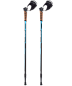 Палки для скандинавской ходьбы BERGER Nimbus, 77-135 см, 2-секционные, черный/голубой в Иркутске - купить в интернет магазине Икс Мастер