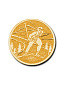 Эмблема Беговые лыжи 25 мм металл (золото) в Иркутске - купить в интернет магазине Икс Мастер