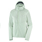 Куртка SALOMON AGILE FZ HOODIE W Opal Blue в Иркутске - купить в интернет магазине Икс Мастер