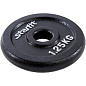 Диск чугунный STARFIT BB-204 1.25 кг, d=26 мм, черный в Иркутске - купить в интернет магазине Икс Мастер