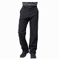 Брюки JACK WOLFSKIN CHILLY TRACK PANTS MEN BLACK в Иркутске - купить в интернет магазине Икс Мастер