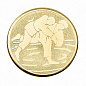 Эмблема Дзюдо 25мм металл (золото) в Иркутске - купить в интернет магазине Икс Мастер