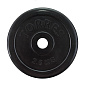 Диск обрезиненный TORRES (черный) d25 мм, 2,5  кг в Иркутске - купить в интернет магазине Икс Мастер