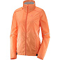 Куртка SALOMON AGILE WIND JKT W Pardaise в Иркутске - купить в интернет магазине Икс Мастер